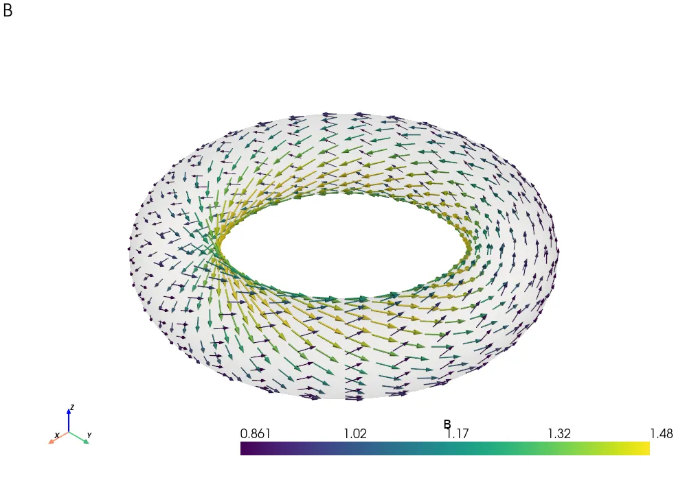 Magnetic field arrows on a flux surface