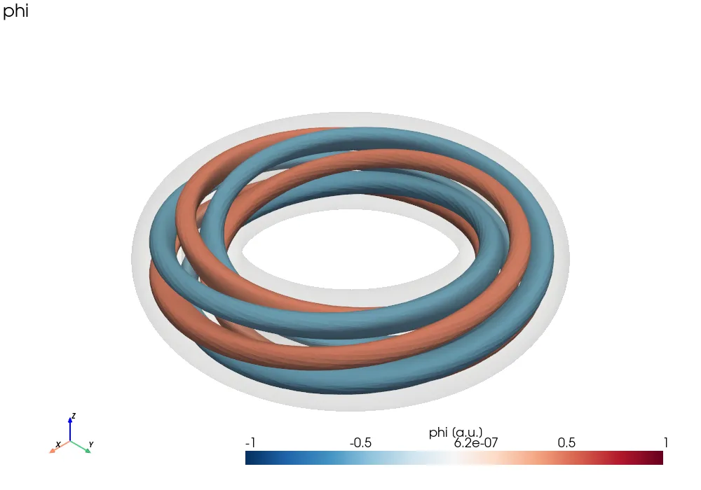 Isosurfaces of a helical mode in a torus