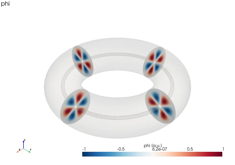 Poloidal cross-sections of a mode in a torus