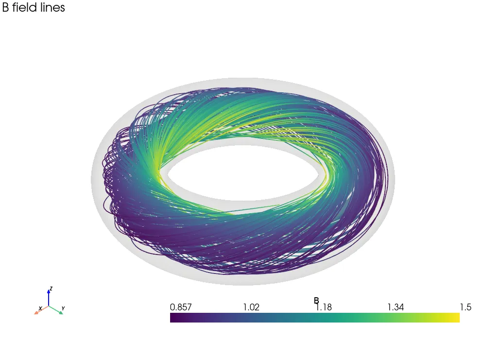 Magnetic field lines in a torus